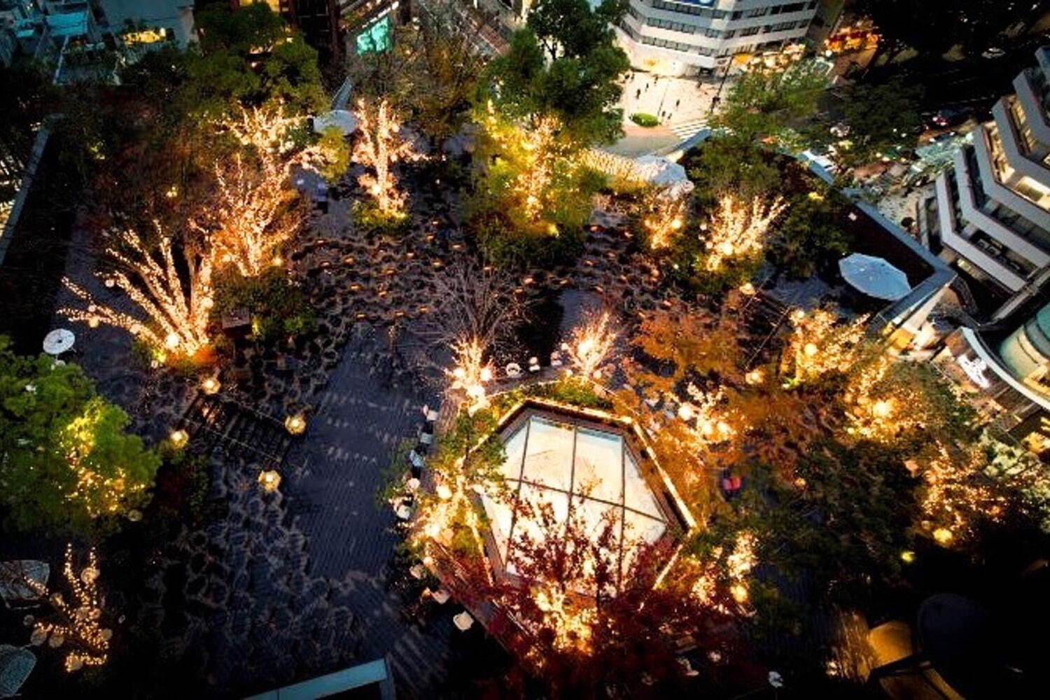 東急プラザ表参道原宿のクリスマスイルミネーション「星の降る森」テーマの幻想的な光が点灯