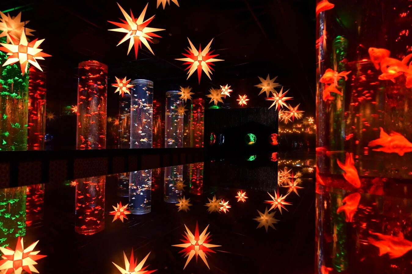 「アートアクアリウム美術館 GINZA」クリスマスイルミネーション、雪の結晶が彩る金魚の水槽｜写真5