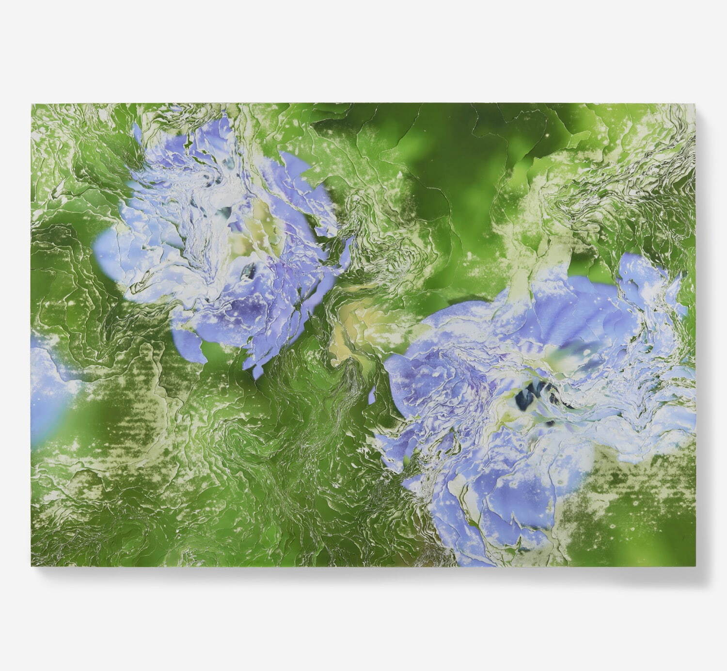 Nerholの新作展が表参道で、“時間の多重性”帰化植物をテーマとした立体作品を発表|写真3