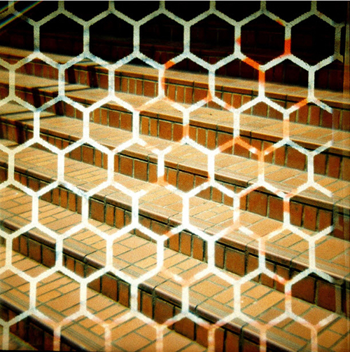 ロモグラフィーからミツバチをイメージしたカメラ「Diana F + HoneyComb」が発売｜写真8