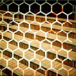 ロモグラフィーからミツバチをイメージしたカメラ「Diana F + HoneyComb」が発売｜写真8