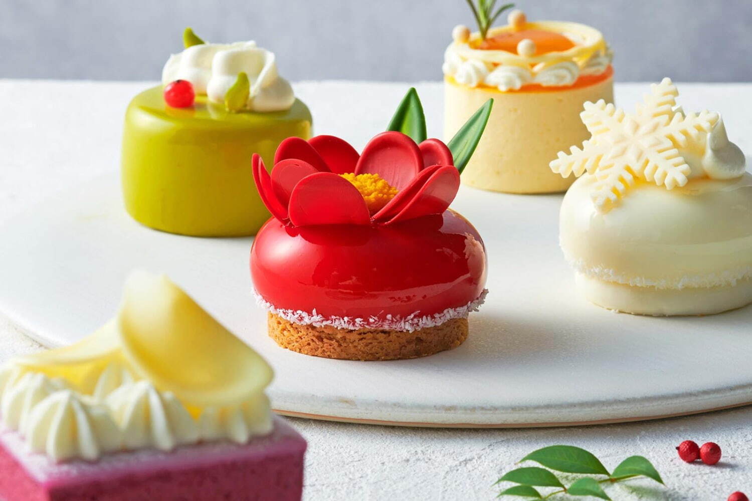 四季菓子の店「ひびか」冬の限定ケーキ、真っ赤な寒椿や純白の淡雪をモチーフに