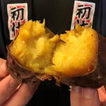 横浜みなとみらい冬のお散歩「ベイ ウォーク マーケット」クリスマスの植物マーケットやドッグマルシェ｜写真5