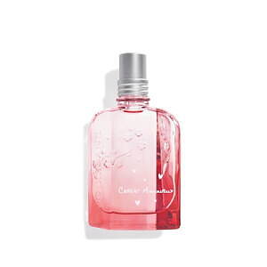 桜コスメ特集＜2024年春＞“サクラ香る”ボディケア＆ヘアケアなど