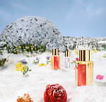 メゾン フランシス クルジャン(Maison Francis Kurkdjian) バカラ ルージュ540｜写真6