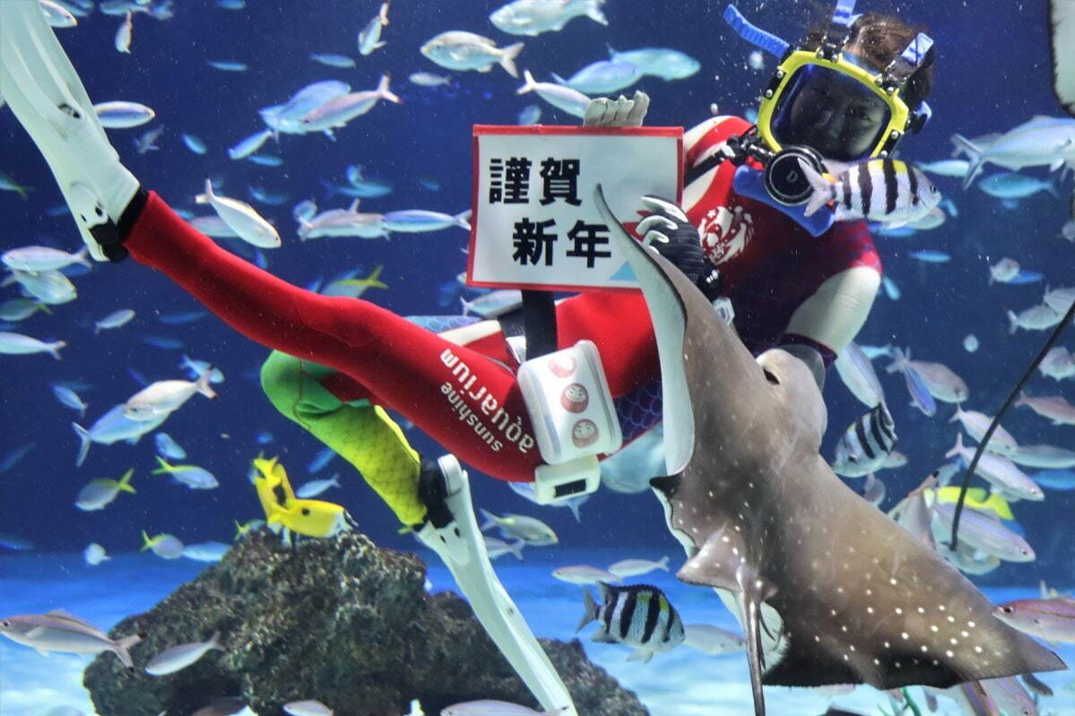 サンシャイン水族館の2024年正月、“タツノオトシゴの仲間＆紅白エビ”の限定水槽やオリジナル福袋も｜写真1