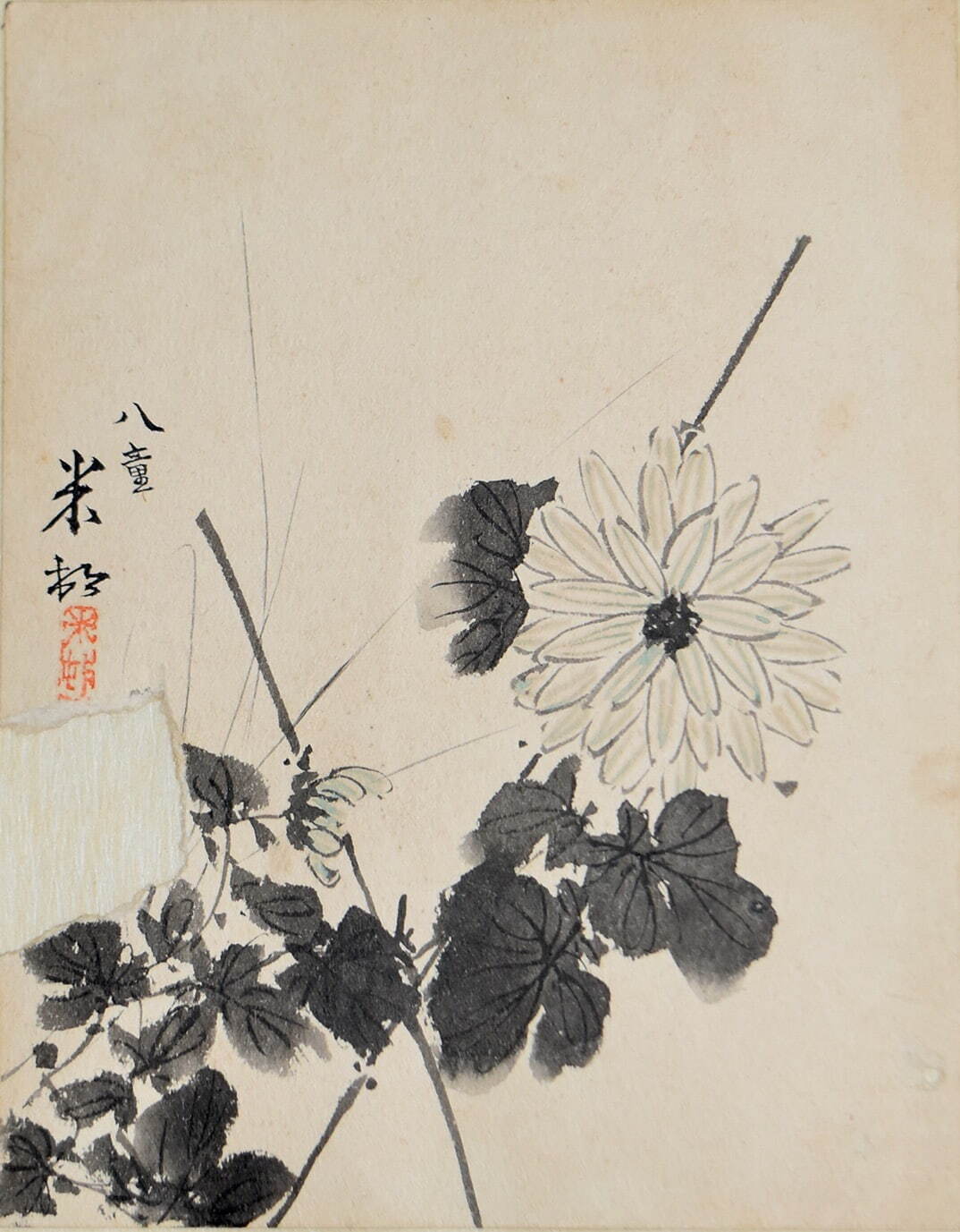 田中一村 《菊図》 大正4年(1915年) 紙本墨画淡彩 個人蔵
©2024 Hiroshi Niiyama