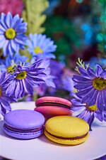 キディル(KIDILL), テンダーパーソン(TENDER PERSON), エム エー エス ユー(M A S U), ポーラ(POLA), ガトーフェスタ ハラダ(GATEAU FESTA HARADA), フェティコ(FETICO), エム / ミカ ニナガワ(M / mika ninagawa) 桃源郷の世界｜写真67