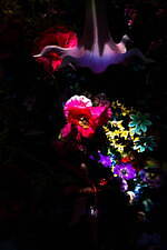 キディル(KIDILL), テンダーパーソン(TENDER PERSON), エム エー エス ユー(M A S U), ポーラ(POLA), ガトーフェスタ ハラダ(GATEAU FESTA HARADA), フェティコ(FETICO), エム / ミカ ニナガワ(M / mika ninagawa) 桃源郷の世界｜写真28