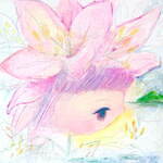 ササユリの花の薄化粧｜写真1