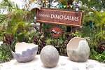 「ジャングリア沖縄」“恐竜と遭遇”アトラクションやスパなどテーマパーク徹底解説、場所やチケット詳細も｜写真27