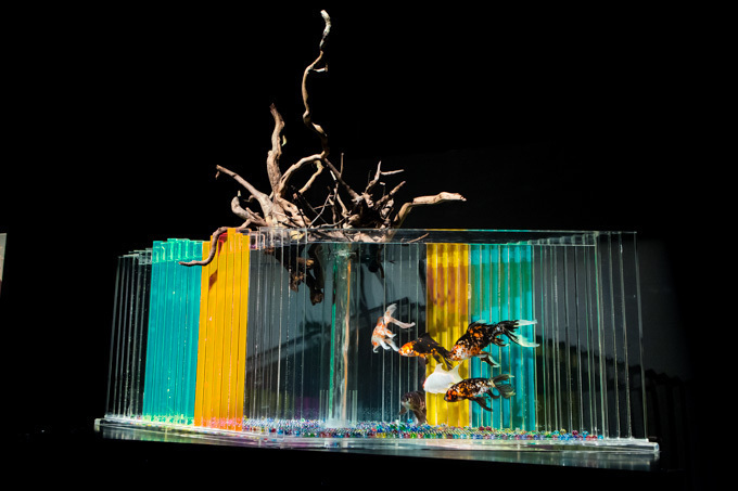 約5000匹の金魚が泳ぐ水中アート「アートアクアリウム2014」開催｜写真11