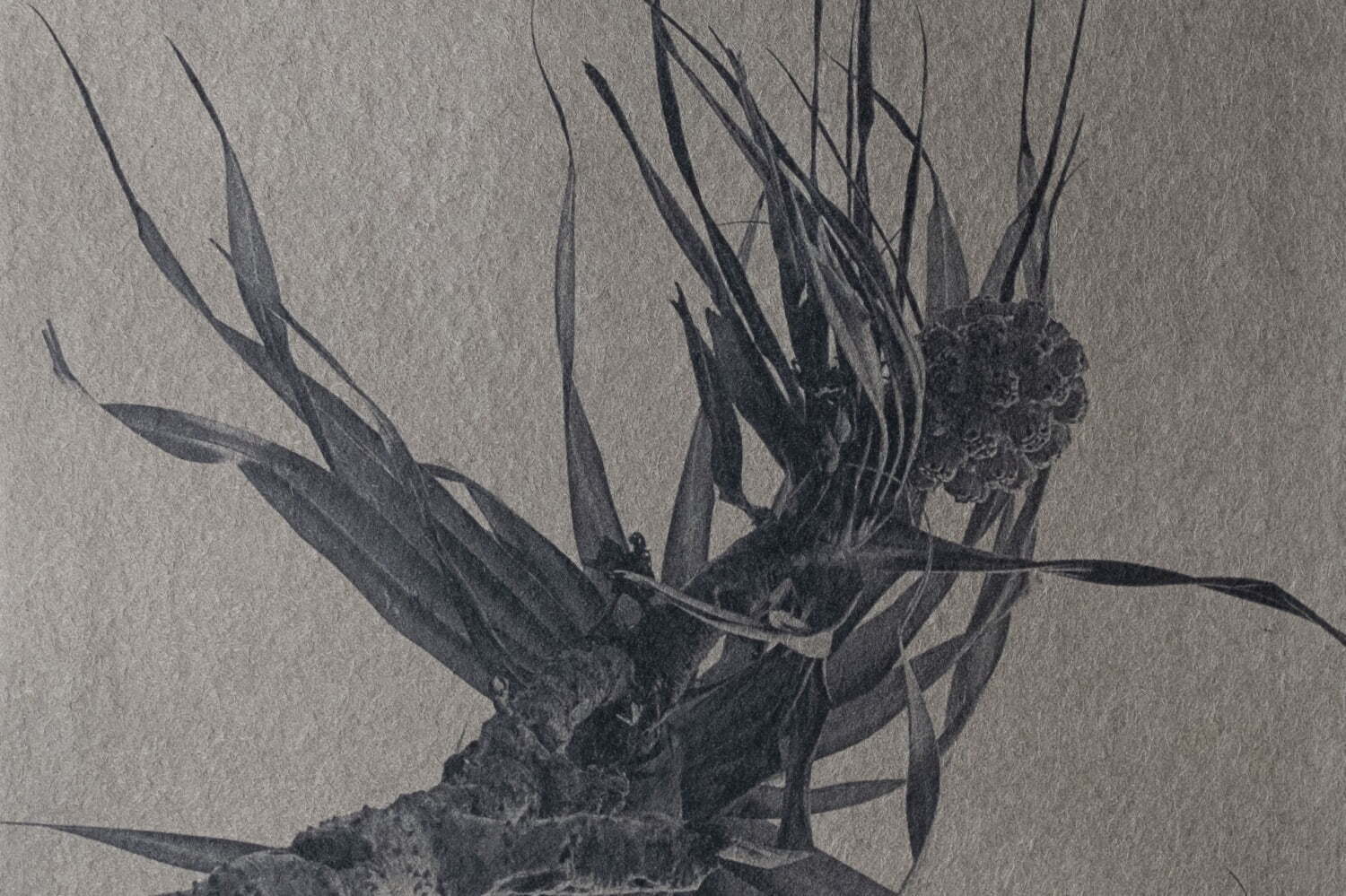 写真｜写真家・山﨑萌子の個展がエンダースキーマ「隙間」で、奄美大島の泥染めや手漉きの紙による作品