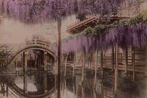 幕末・明治期の“日本のイメージ”手彩色写真の展覧会が神戸市立博物館で - 鮮やかな写真など約150点