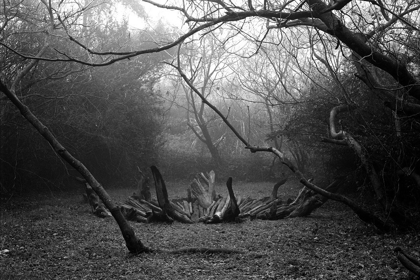 写真｜野外作品を手がけた美術制作プロジェクト「天地耕作」全貌を紹介する展覧会が静岡県立美術館で