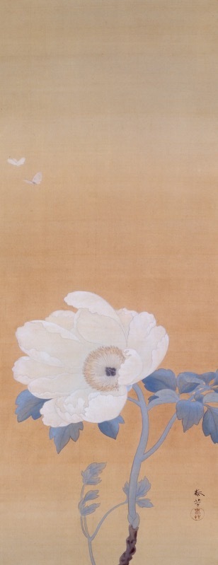 菱田春草 《白牡丹》 明治34年(1901年)頃 絹本・彩色 山種美術館