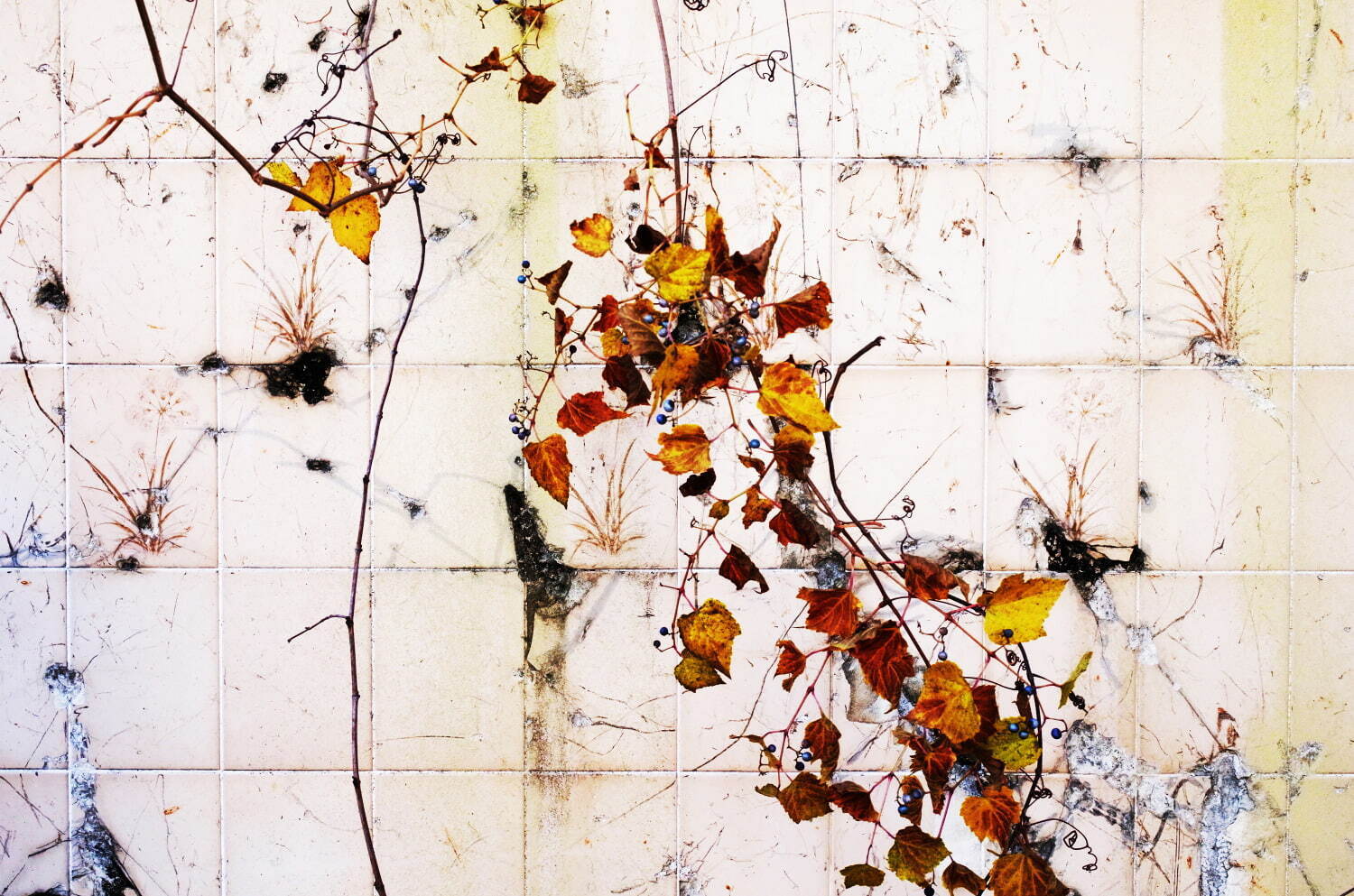 沈み(shizumi) 2023-24年秋冬ウィメンズ&メンズコレクション  - 写真9