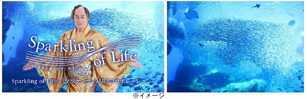 「マツケンサンバⅡ」にあわせてイルカパフォーマンス＆イワシの群れが泳ぐ！仙台うみの杜水族館コラボ企画｜写真3