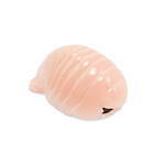 サンシャイン水族館「ゾクゾク深海生物2024」“深海のアイドル”メンダコ＆巨大ヨコヅナイワシ標本展示｜写真19