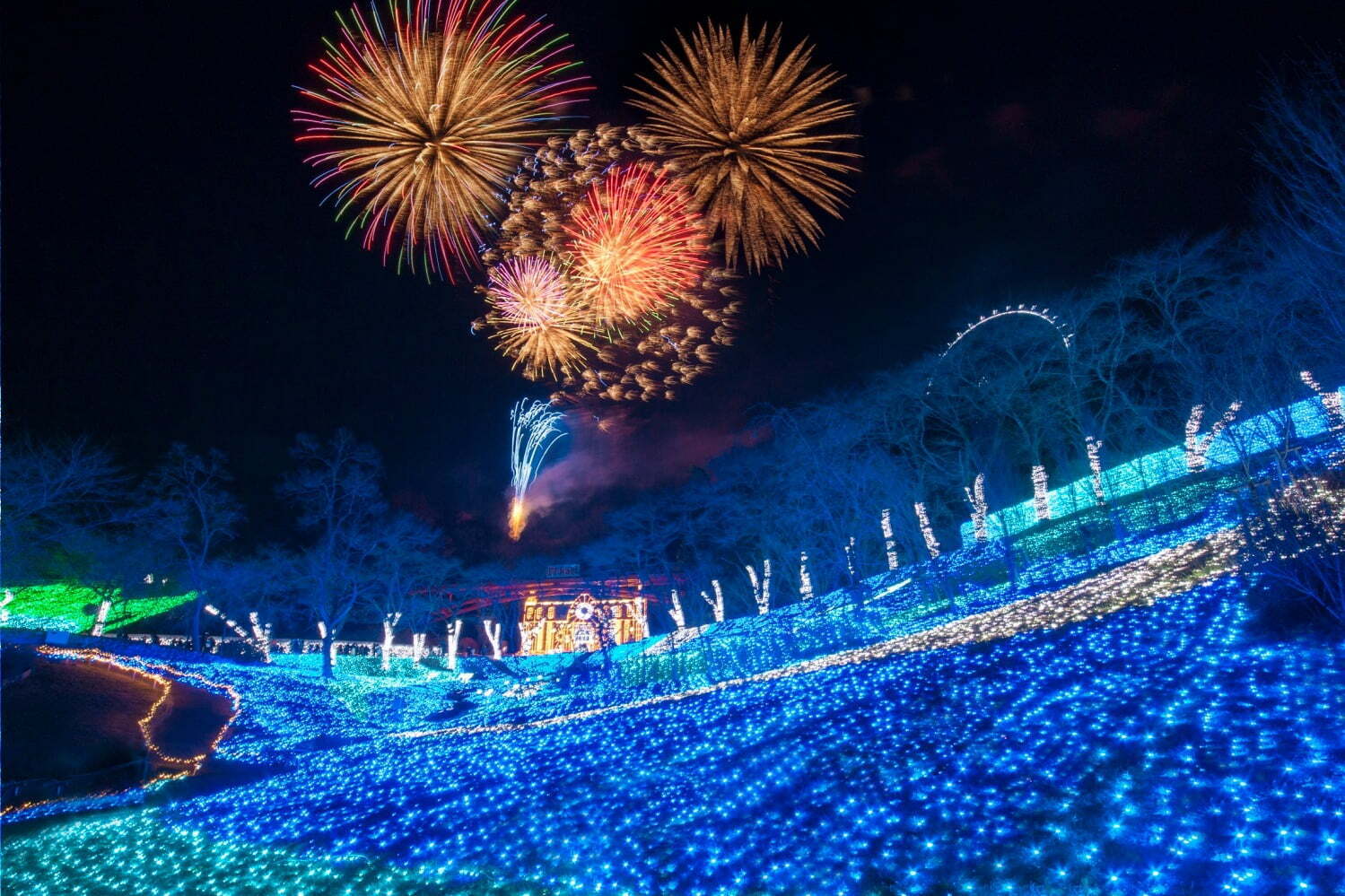 「さがみ湖イルミリオン」関東最大級600万球イルミネーション、花火や音楽で彩るカウントダウンイベント｜写真0