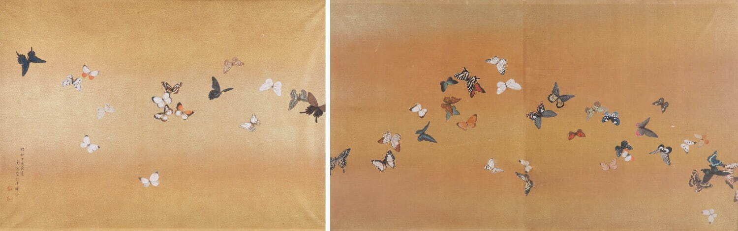 近代を代表する日本画家・池上秀畝の展覧会が練馬区立美術館で - 華麗な花鳥画など、代表作が一堂に｜写真14