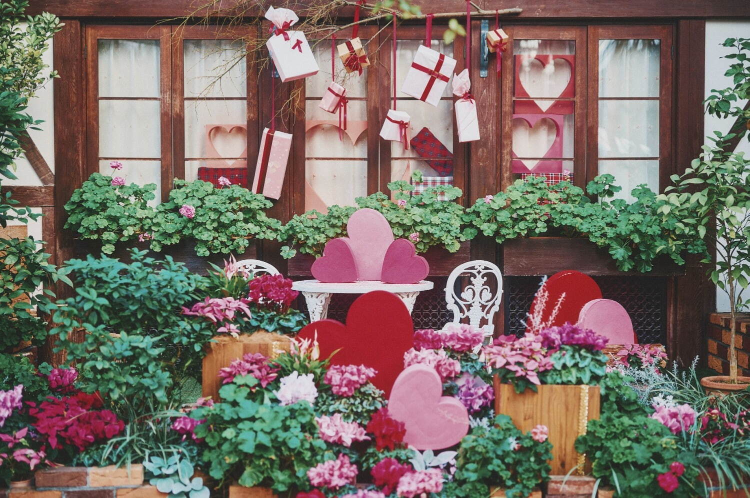 神戸布引ハーブ園の冬イベント - ハート×ピンクの花々のフォトスポット、ハーブ浮かぶ足湯も｜写真7