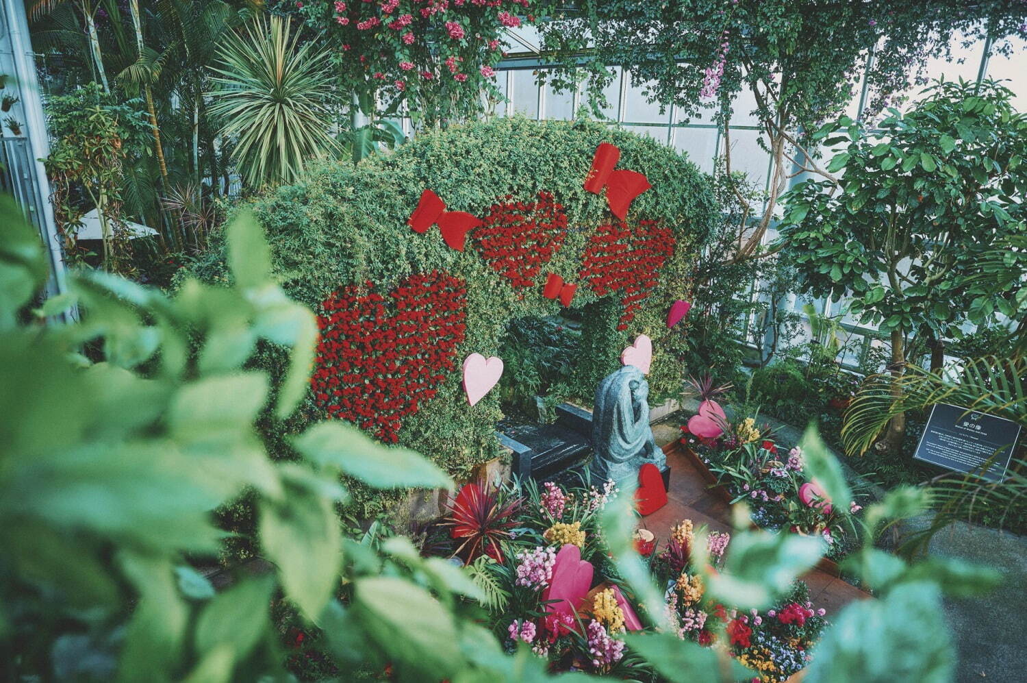 神戸布引ハーブ園の冬イベント - ハート×ピンクの花々のフォトスポット、ハーブ浮かぶ足湯も｜写真8