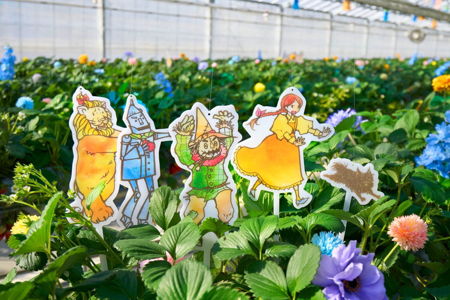 千葉・京成バラ園『オズの魔法使い』着想のいちご狩り、フローズンストロベリーやホットチョコレートなど|写真4