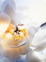 ディオール(DIOR) ジャドール｜写真2