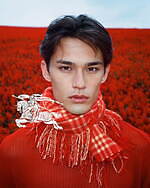 バーバリー(BURBERRY) 馬上の騎士｜写真15