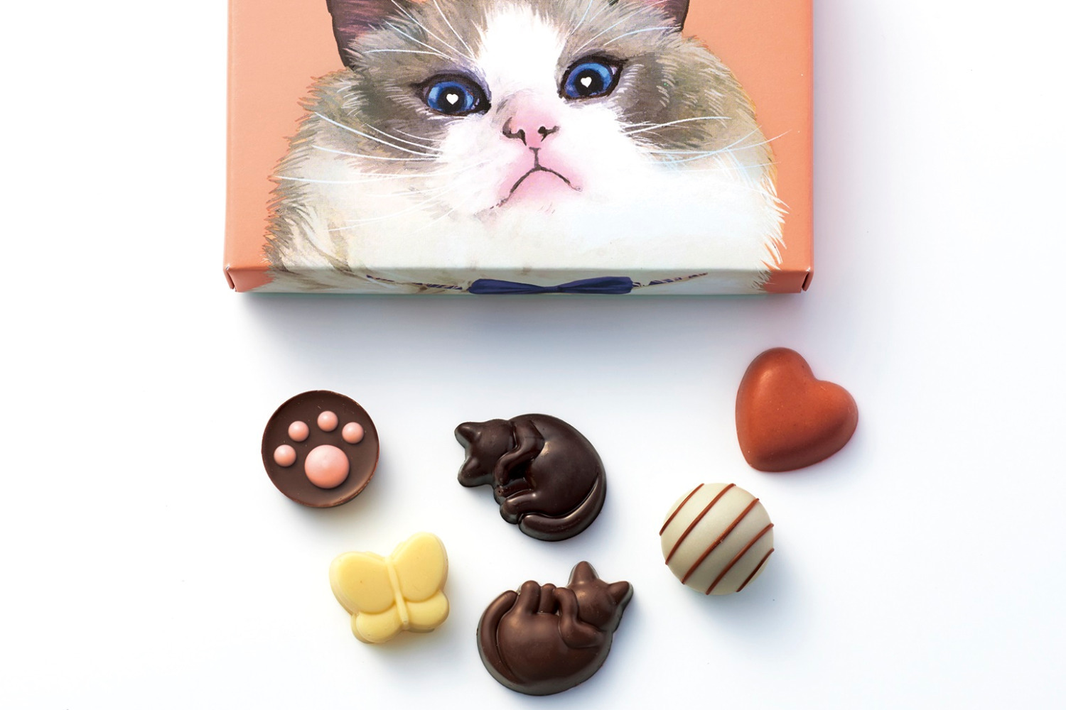 バレンタイン　チョコ　まとめ　9個　セバスチャンブイエ　メリーズ　モロゾフ セバスチャン・ブイエ】ヌヌース＆フリュイショコラ12コ