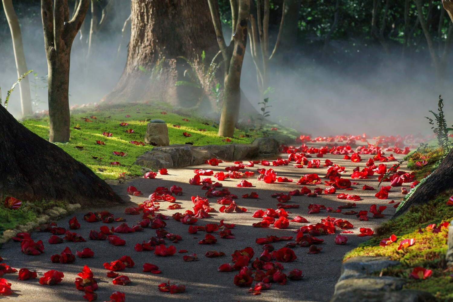 庭園｜ホテル椿山荘東京“椿の花”を楽しむ宿泊プラン - 約2,300本が開花、庭園の幻想的なアート演出も