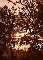 ニードルズ 2024年秋冬コレクション - あたたかな装いに遊び心、穏やかな風景を眺ながらら｜写真29