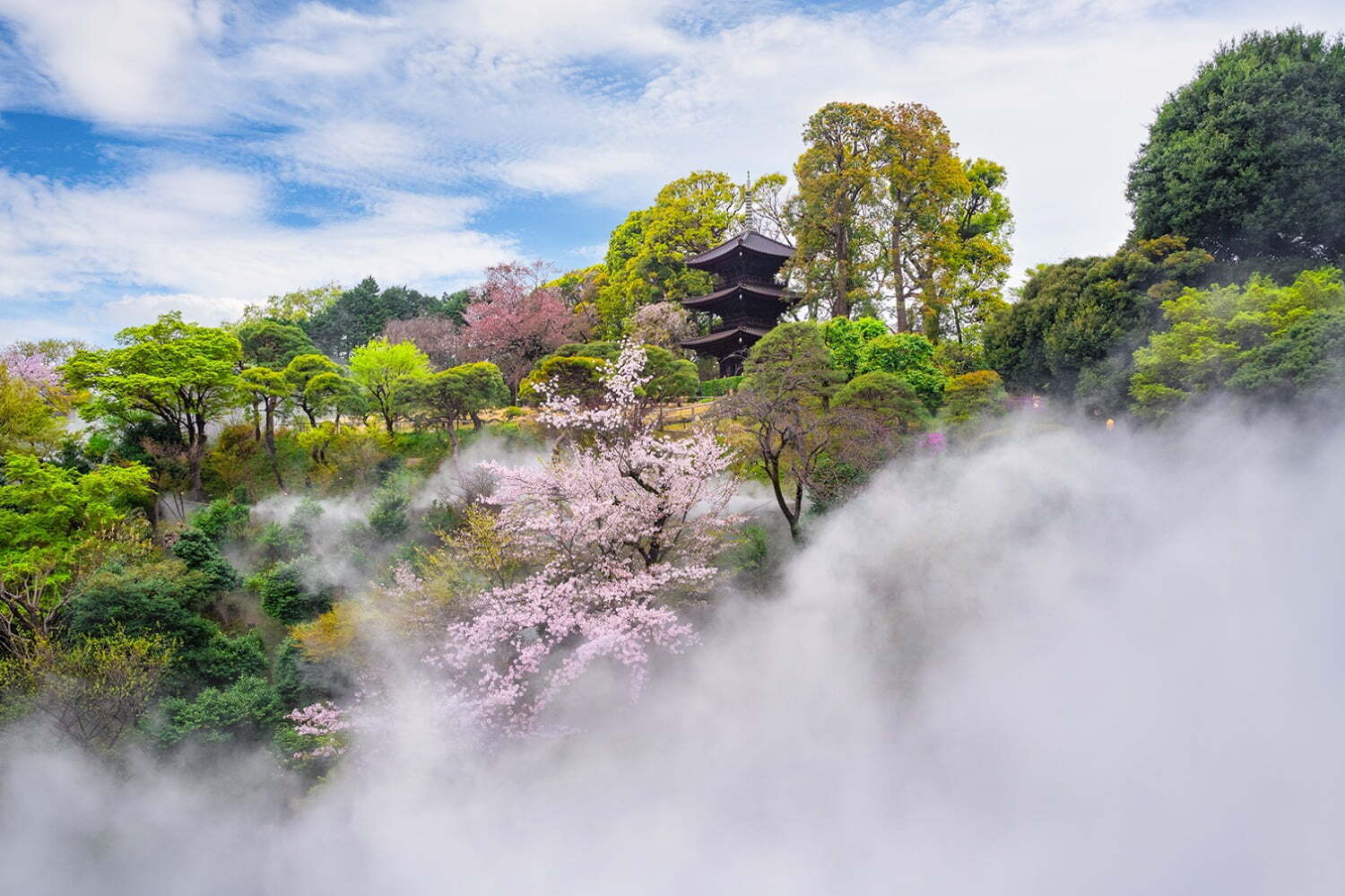 雲海スポット｜ホテル椿山荘東京「春のお花見」ビュッフェ、椿＆桜の花咲く庭園を眺めながらランチやディナーを堪能