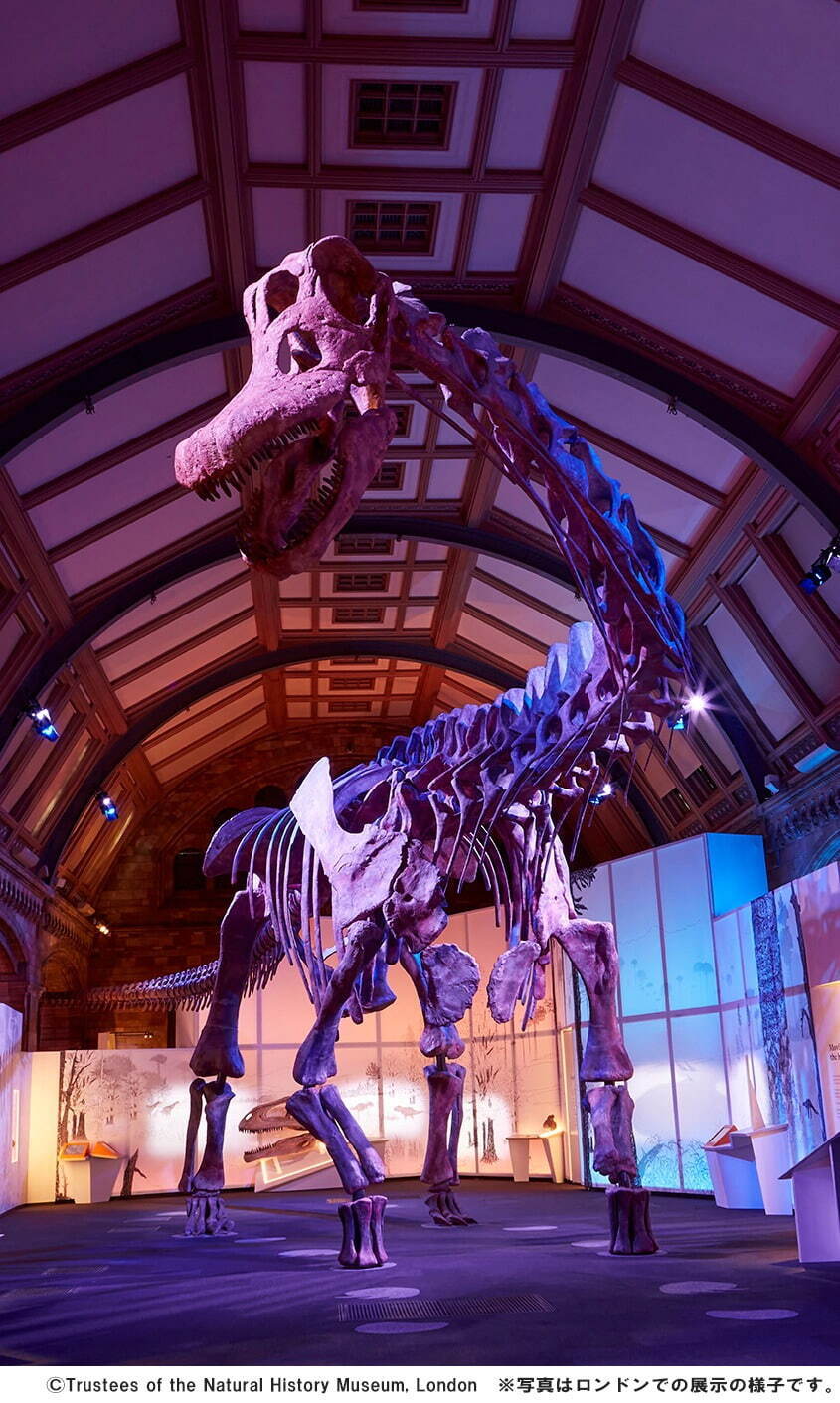 「巨大恐竜展 2024」横浜で、“世界最大級”全長約37mのパタゴティタン・マヨルム全身復元骨格標本｜写真1