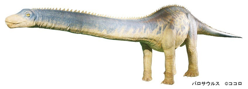 「巨大恐竜展 2024」横浜で、“世界最大級”全長約37mのパタゴティタン・マヨルム全身復元骨格標本｜写真6