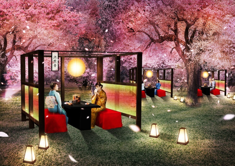 京都・二条城で“アートなお花見”「ネイキッド桜まつり」夜桜