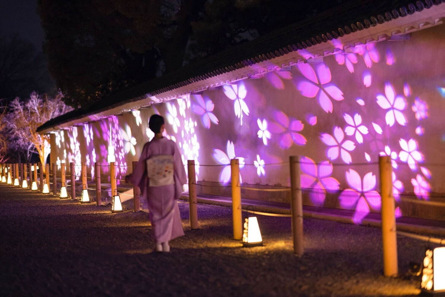 京都・二条城で“アートなお花見”「ネイキッド桜まつり」夜桜ライトアップやデジタルアート、桜スイーツも｜写真2
