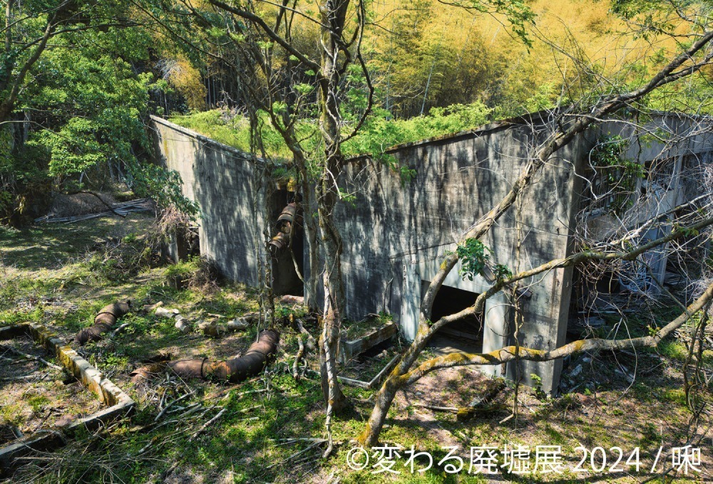 “廃墟の美しさ”を体感する写真展「変わる廃墟展 2024」東京＆名古屋で、オリジナルグッズも｜写真15