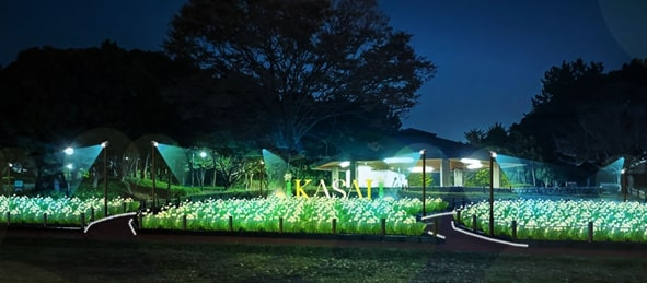 「花と光のムーブメント」葛西臨海公園で、“20万輪のスイセン”を幻想的にライトアップ｜写真3