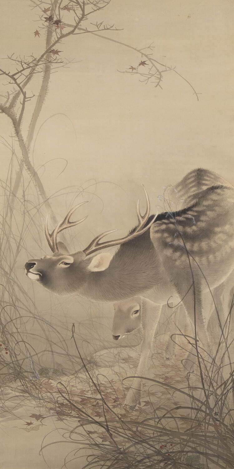 木島櫻谷 《双鹿図》 明治30年代 個人蔵