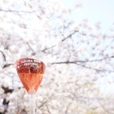 「ロゼ」など桜色ワイン＆お花見を楽しむイベントが名古屋・鶴舞公園で、約70種類以上のワインが集結｜写真3