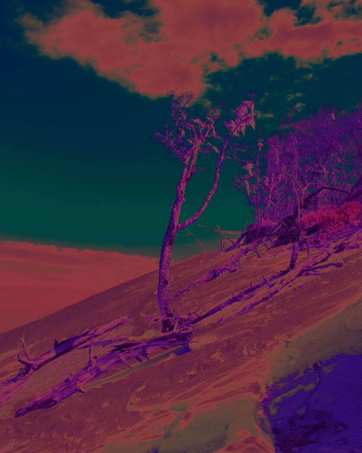 ジュヴェナイル ホール ロールコール(JUVENILE HALL ROLLCALL) 2024-25年秋冬ウィメンズコレクション  - 写真18