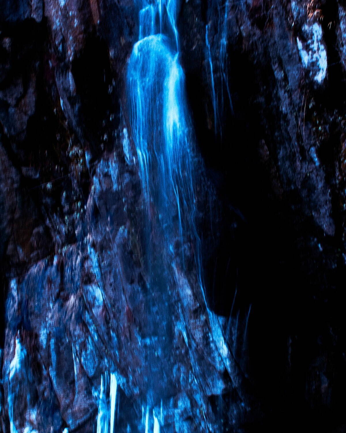 ジュヴェナイル ホール ロールコール(JUVENILE HALL ROLLCALL) 2024-25年秋冬ウィメンズコレクション  - 写真20