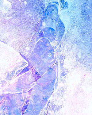 ジュヴェナイル ホール ロールコール(JUVENILE HALL ROLLCALL) 2024-25年秋冬ウィメンズコレクション  - 写真16