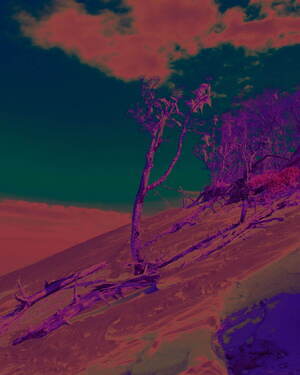 ジュヴェナイル ホール ロールコール(JUVENILE HALL ROLLCALL) 2024-25年秋冬ウィメンズコレクション  - 写真18