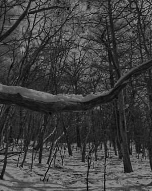 ジュヴェナイル ホール ロールコール(JUVENILE HALL ROLLCALL) 2024-25年秋冬ウィメンズコレクション  - 写真19