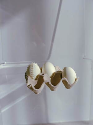 ファーファー(FURFUR) 2024年春ウィメンズコレクション  - 写真13