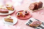 スターバックス(Starbucks Coffee) さくら クリーム ラテ｜写真4