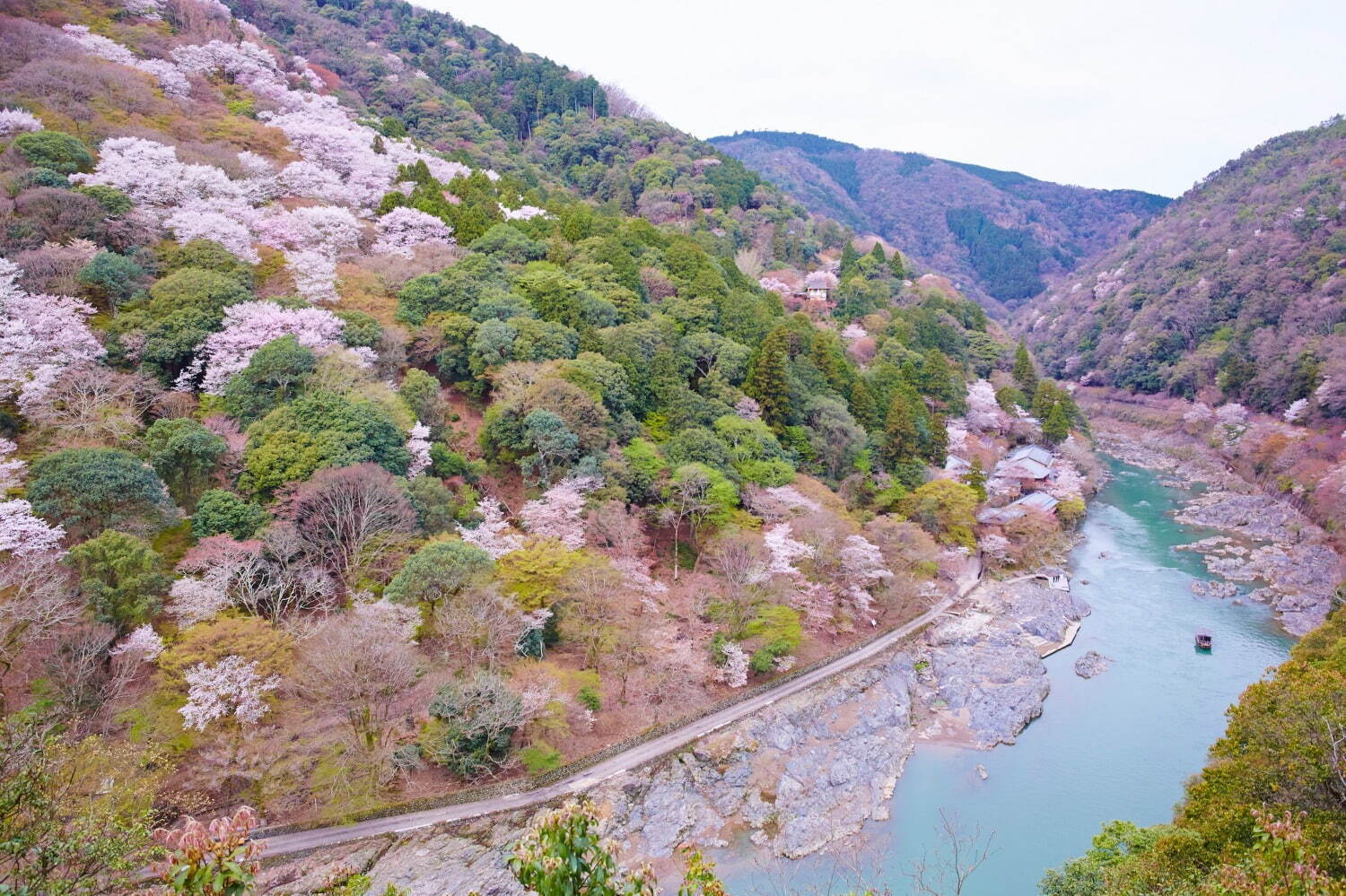 星のや京都の“お花見”滞在プラン - 貸し切りテラスや屋形舟から眺める桜の花、花見膳やライトアップも｜写真1